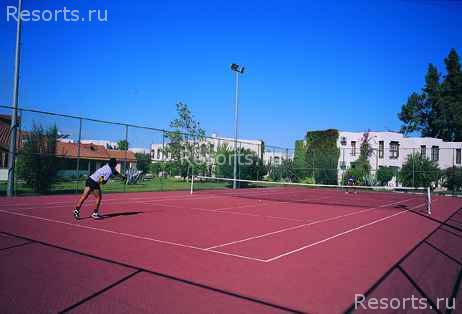 Petro Club Side 29